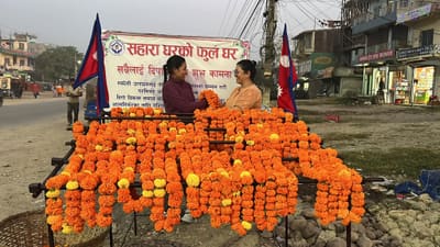 Sahara Ghar's marigold flower-house livelihood stall
